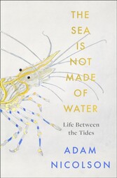 the sea is not made of water: Life Between the Tides