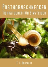 Tierratgeber für Einsteiger - Posthornschnecken