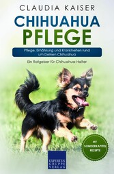 Chihuahua Pflege