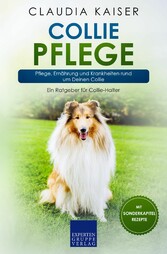 Collie Pflege