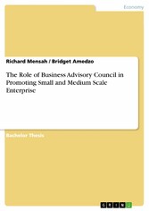 The Role of Business Advisory Council in Promoting Small and Medium Scale Enterprise