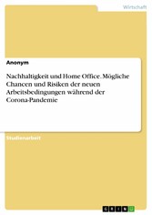 Nachhaltigkeit und Home Office. Mögliche Chancen und Risiken der neuen Arbeitsbedingungen während der Corona-Pandemie