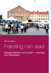 Främling i sin stad