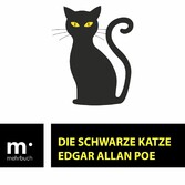 Die schwarze Katze