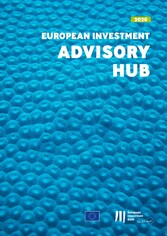 European Investment Advisory Hub Report 2020