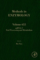 mRNA 3' End Processing and Metabolism