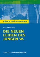 Die neuen Leiden des jungen W. Königs Erläuterungen.