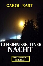 Geheimnisse einer Nacht: Mitternachtsthriller