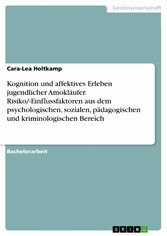 Kognition und affektives Erleben jugendlicher Amokläufer. Risiko/-Einflussfaktoren aus dem psychologischen, sozialen, pädagogischen und kriminologischen Bereich