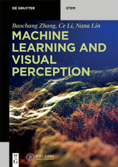 Machine Learning and Visual Perception