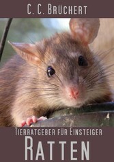 Tierratgeber für Einsteiger - Ratten