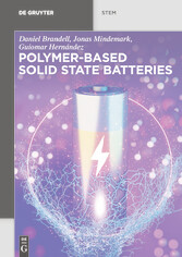 Polymer-based Solid State Batteries