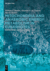 Mitochondria and Anaerobic Energy Metabolism in Eukaryotes