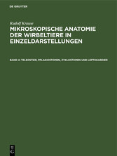 Teleostier, Pflagiostomen, Zyklostomen und Leptokardier