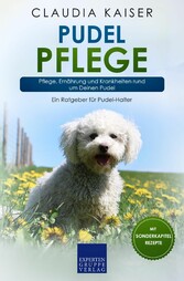 Pudel Pflege