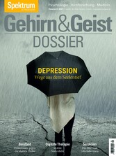 Gehirn&Geist Dossier - Depression