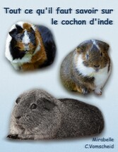 Tout ce qu&apos;il faut savoir sur le cochon d&apos;inde (nouvelle édition)