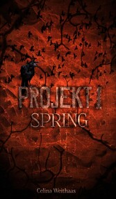 Spring - Projekt I