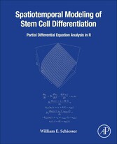 Spatiotemporal Modeling of Stem Cell Differentiation