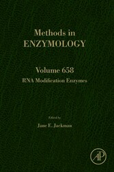 RNA Modification Enzymes