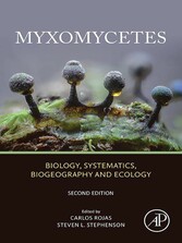 Myxomycetes