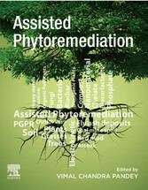 Assisted Phytoremediation