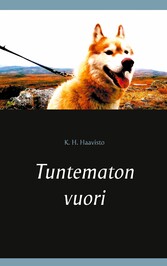 Tuntematon vuori