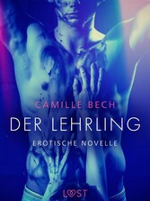 Der Lehrling - Erotische Novelle