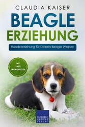 Beagle Erziehung