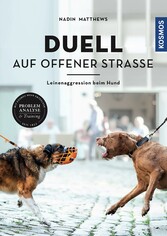 Duell auf offener Straße