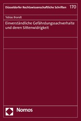 Einverständliche Gefährdungssachverhalte und deren Sittenwidrigkeit