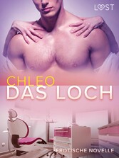 Das Loch - Erotische Novelle