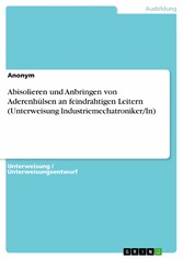 Abisolieren und Anbringen von Aderenhülsen an feindrahtigen Leitern (Unterweisung Industriemechatroniker/In)