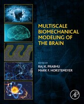 Multiscale Biomechanical Modeling of the Brain