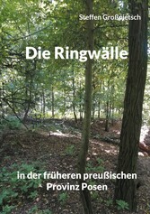 Die Ringwälle