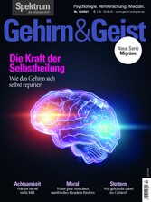 Gehirn&Geist 12/2021 Die Kraft der Selbstheilung