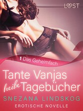 Tante Vanjas heiße Tagebücher 1: Das Geheimfach - Erotische Novelle