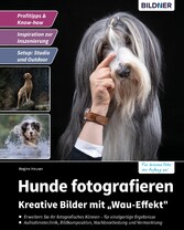 Hunde fotografieren - Kreative Bilder mit 'Wau-Effekt'