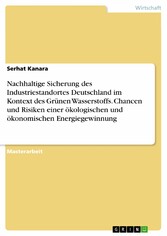 Nachhaltige Sicherung des Industriestandortes Deutschland im Kontext des Grünen Wasserstoffs. Chancen und Risiken einer ökologischen und ökonomischen Energiegewinnung