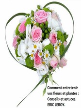 Comment entretenir vos fleurs et plantes :