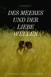 Des Meeres und der Liebe Wellen