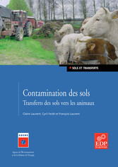 Contamination des sols