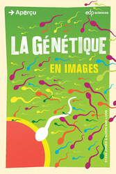 La génétique en images