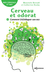 Cerveau et odorat