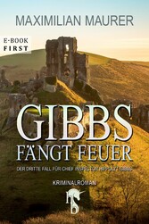 Gibbs fängt Feuer