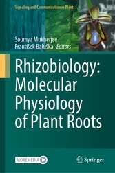 Rhizobiology: Molecular Physiology of Plant Roots