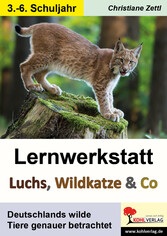 Lernwerkstatt Luchs, Wildkatze und Co