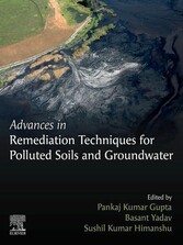 Advances in Remediation Techniques for Polluted Soils and Groundwater