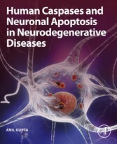 Human Caspases and Neuronal Apoptosis in Neurodegenerative Diseases