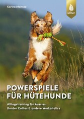 Powerspiele für Hütehunde